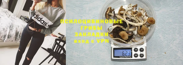 прущая мука Осташков