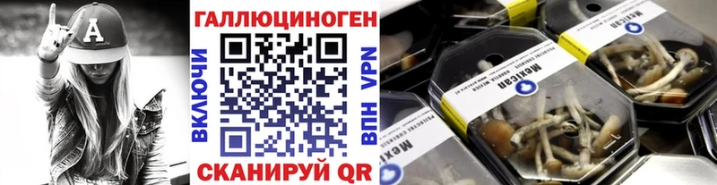 Галлюциногенные грибы GOLDEN TEACHER Нестеров