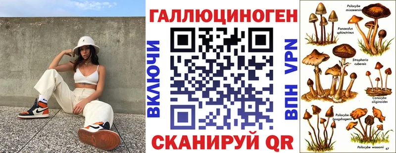 Псилоцибиновые грибы мицелий  Нестеров 