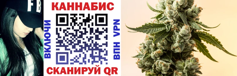 Шишки марихуана SATIVA & INDICA  где можно купить   Нестеров 